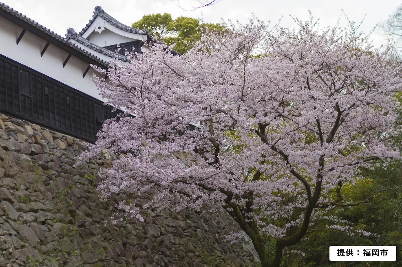 Hakata Sunhills Hotel Fukuoka   Fukuoka (Fukuoka)
